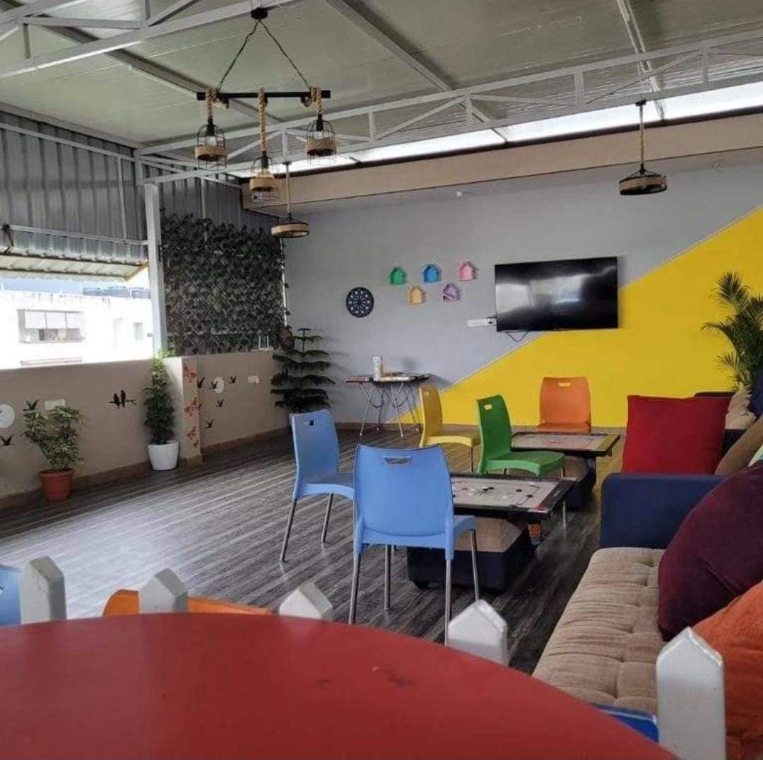 Livingnest Falcon Colive thumbnail 8